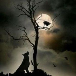 Meet your Posher, Leann